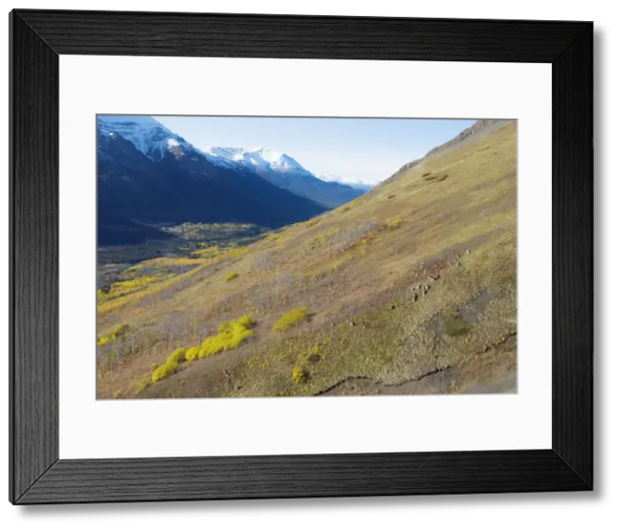 Framed Print : DDE-90027899 Framed Print : DDE-90027899