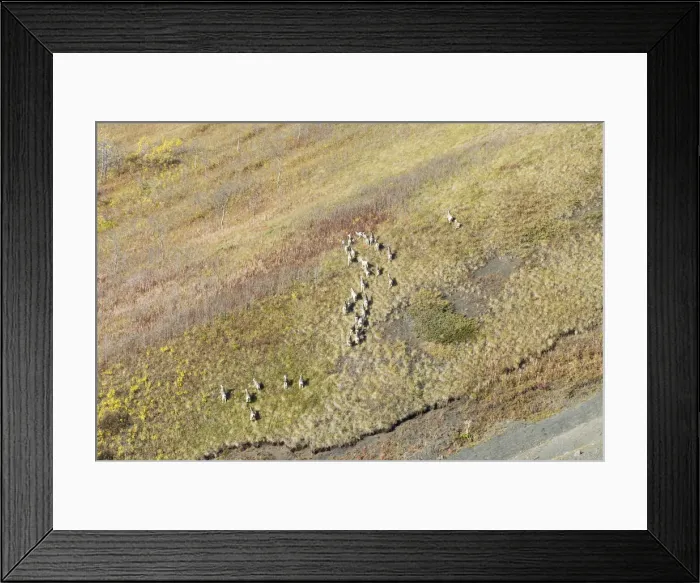 Framed Print : DDE-90027900 Framed Print : DDE-90027900