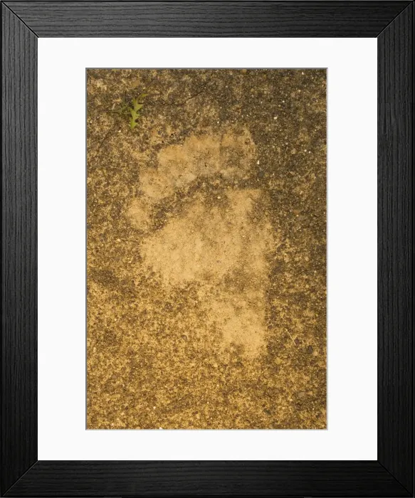 Framed Print : DDE-90027910 Framed Print : DDE-90027910