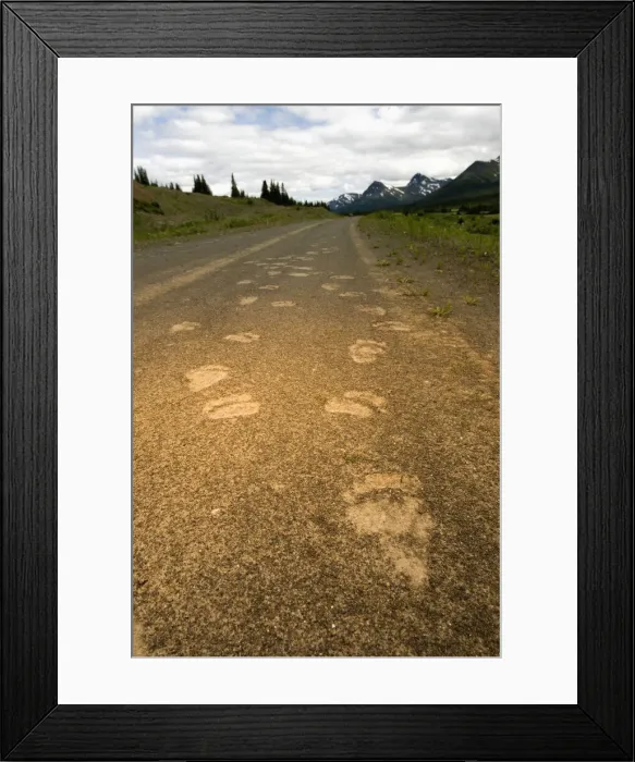 Framed Print : DDE-90027909 Framed Print : DDE-90027909
