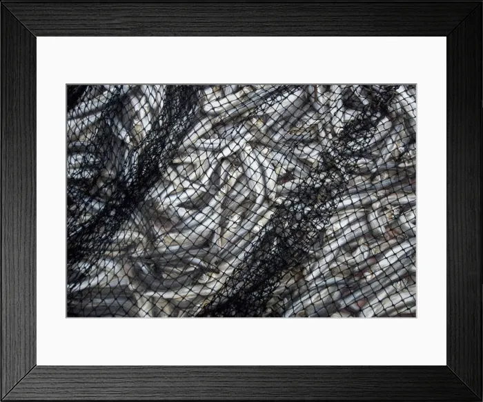 Framed Print : DDE-90027913 Framed Print : DDE-90027913