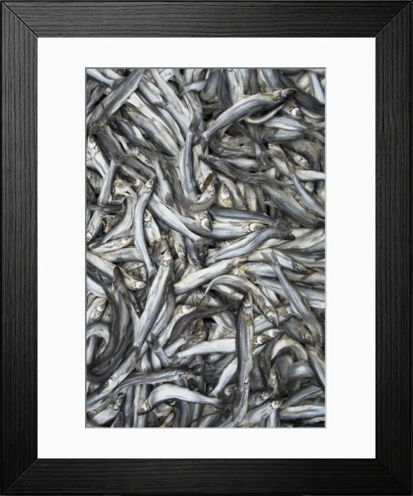 Framed Print : DDE-90027914 Framed Print : DDE-90027914