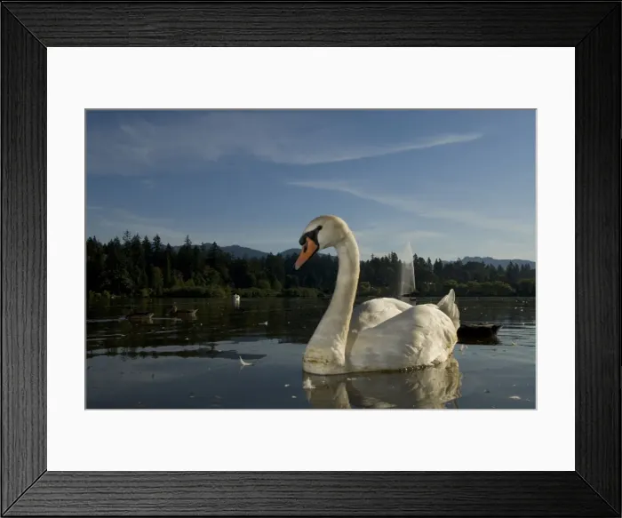 Framed Print : DDE-90027928 Framed Print : DDE-90027928