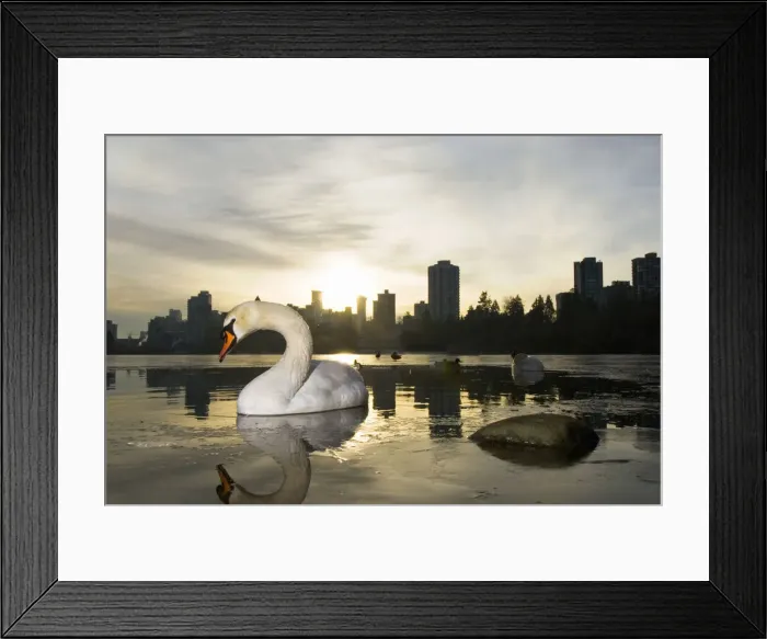 Framed Print : DDE-90027927 Framed Print : DDE-90027927