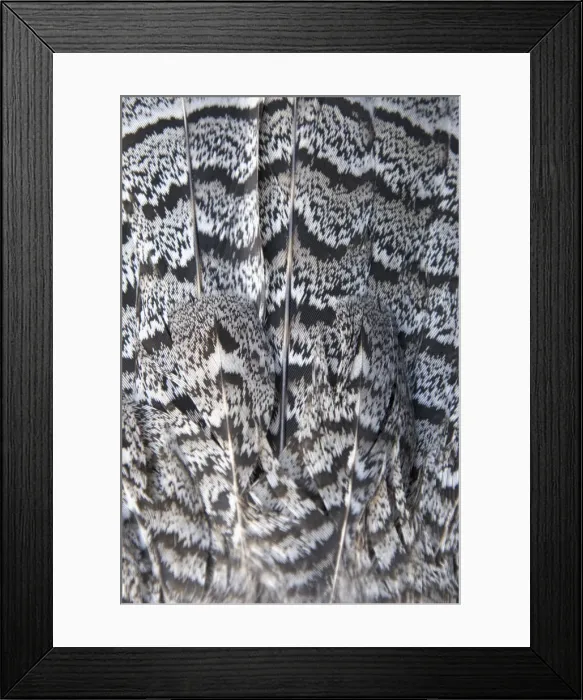Framed Print : DDE-90027931 Framed Print : DDE-90027931