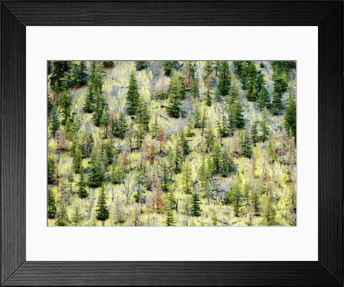 Framed Print : DDE-90027937 Framed Print : DDE-90027937
