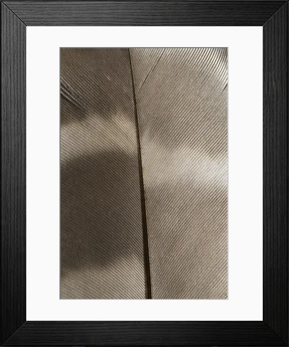Framed Print : DDE-90027944 Framed Print : DDE-90027944