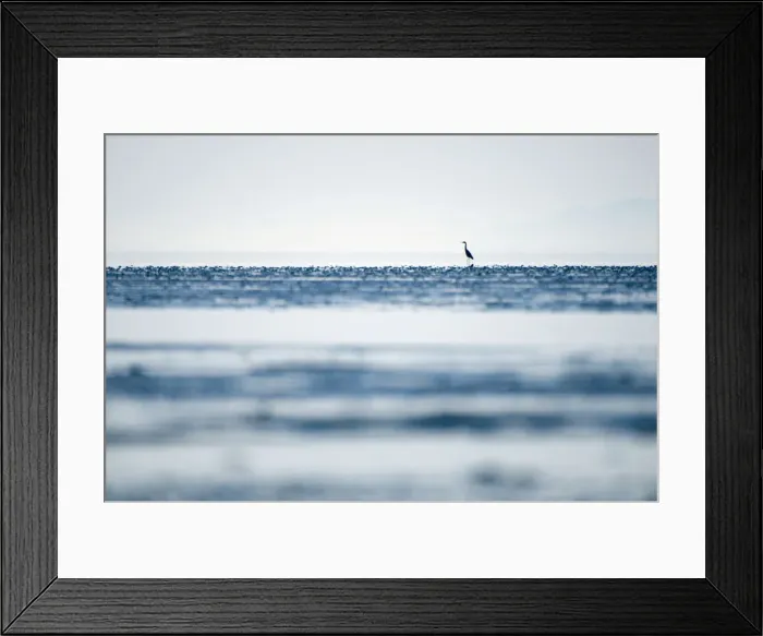 Framed Print : DDE-90027945 Framed Print : DDE-90027945