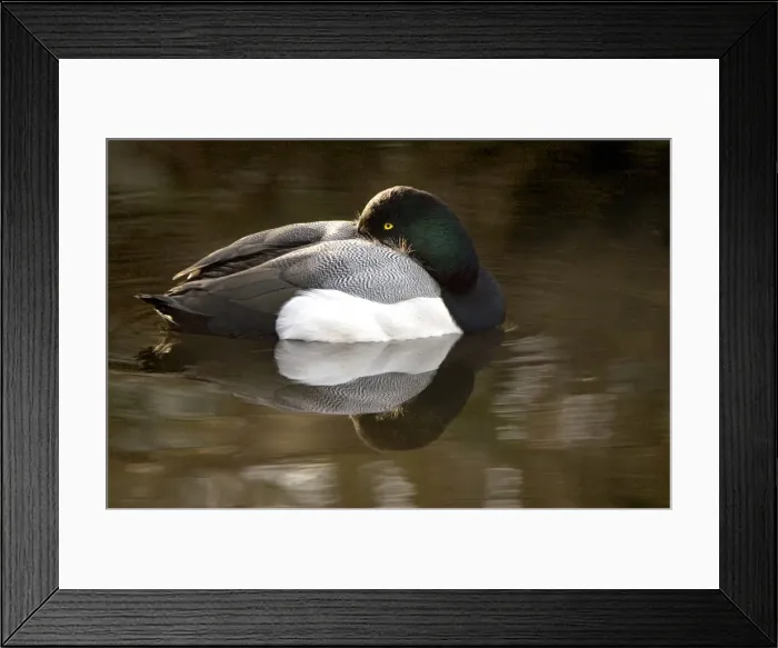 Framed Print : DDE-90027952 Framed Print : DDE-90027952