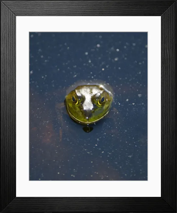 Framed Print : DDE-90027957 Framed Print : DDE-90027957