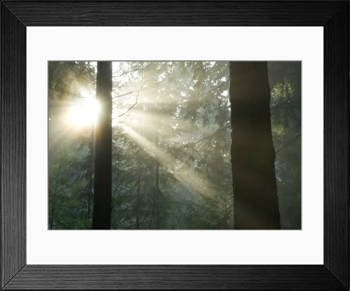 Framed Print : DDE-90027953 Framed Print : DDE-90027953