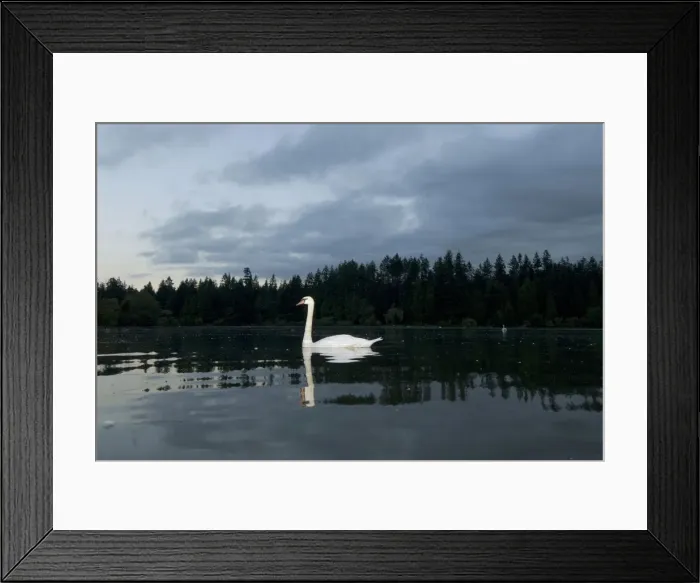 Framed Print : DDE-90027962