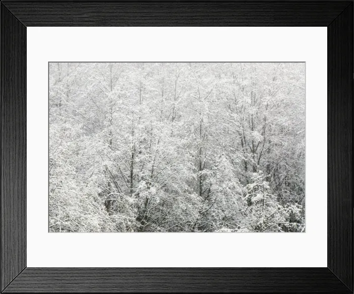 Framed Print : DDE-90027964 Framed Print : DDE-90027964