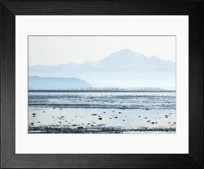 Framed Print : DDE-90027966
