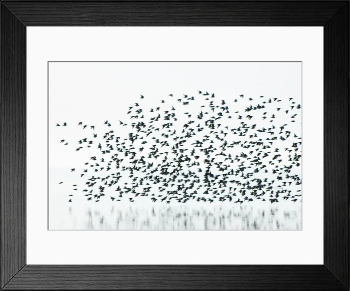 Framed Print : DDE-90027967 Framed Print : DDE-90027967