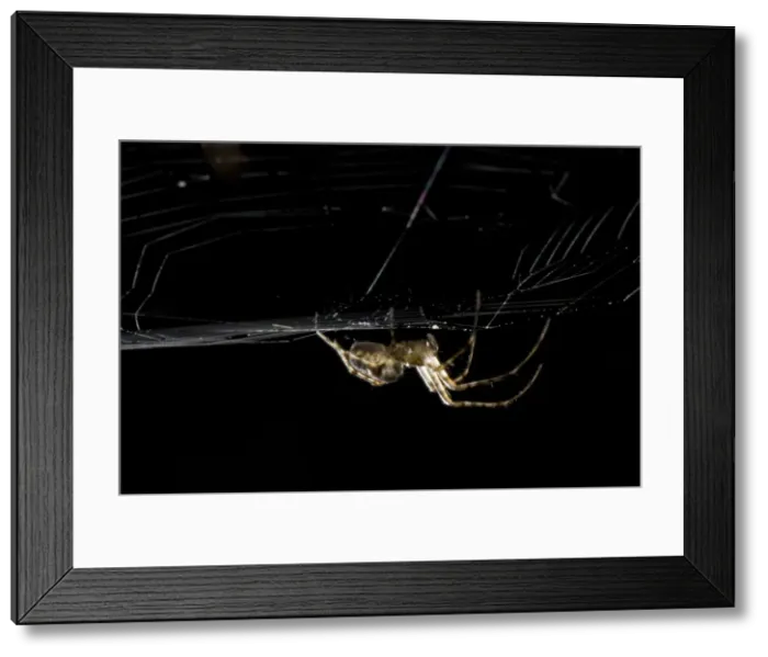 Framed Print : DDE-90027969 Framed Print : DDE-90027969