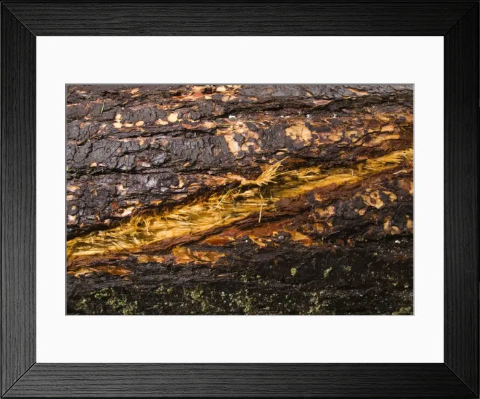 Framed Print : DDE-90027965 Framed Print : DDE-90027965