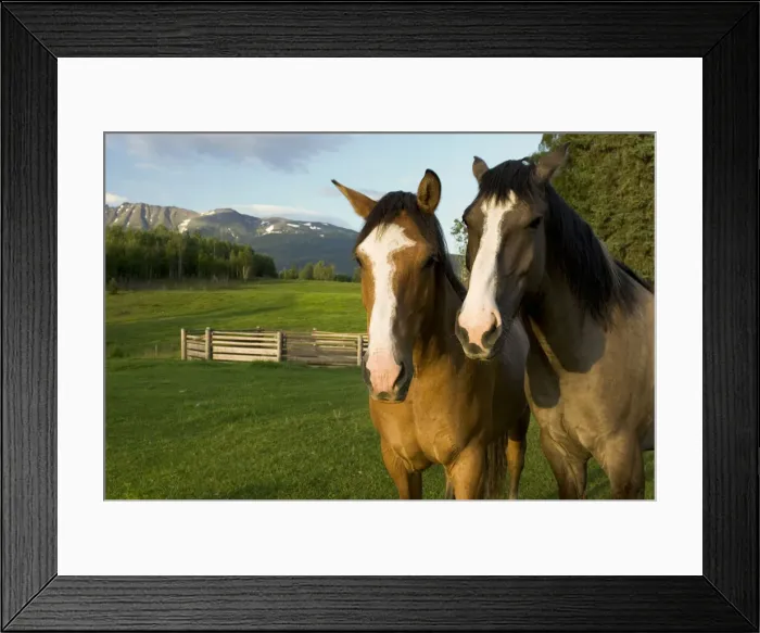 Framed Print : DDE-90027971