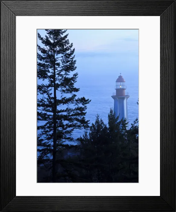 Framed Print : DDE-90027980 Framed Print : DDE-90027980