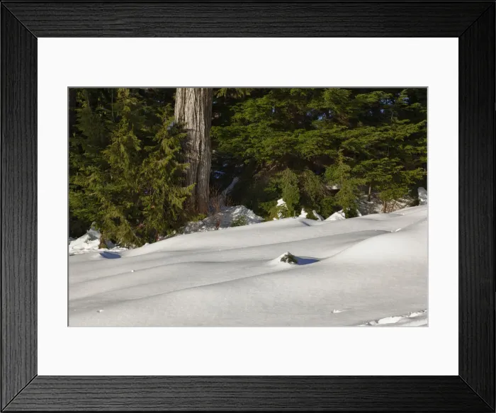 Framed Print : DDE-90027994 Framed Print : DDE-90027994