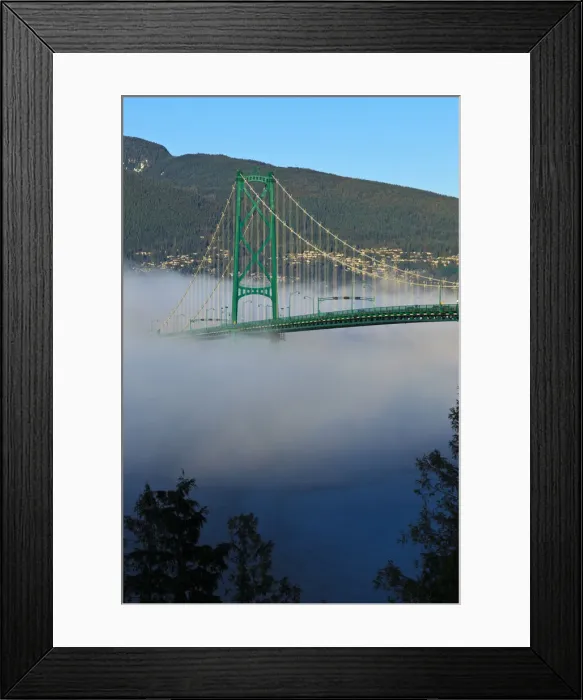 Framed Print : DDE-90027997