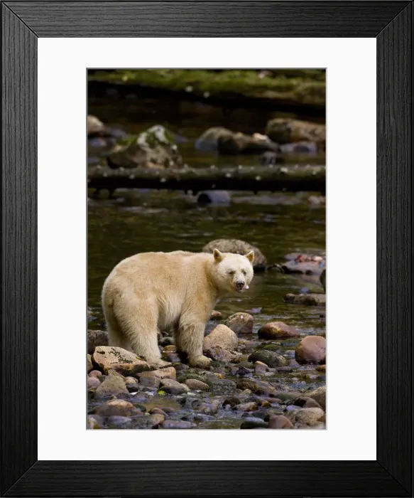 Framed Print : DDE-90028007
