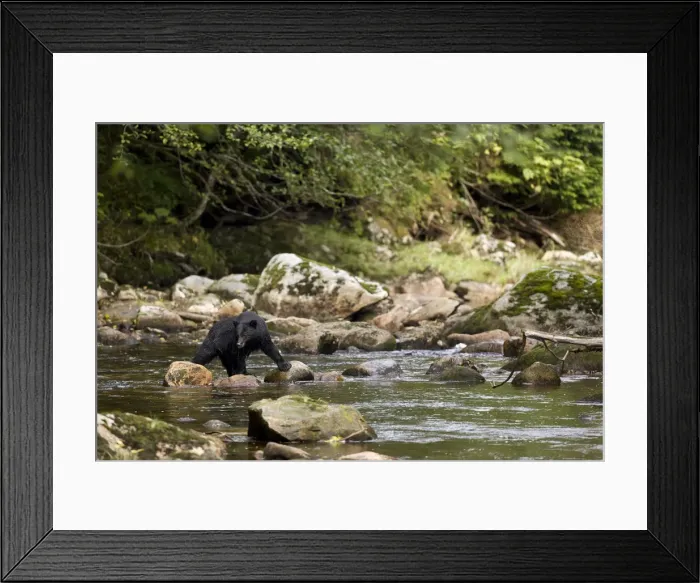 Framed Print : DDE-90028008 Framed Print : DDE-90028008