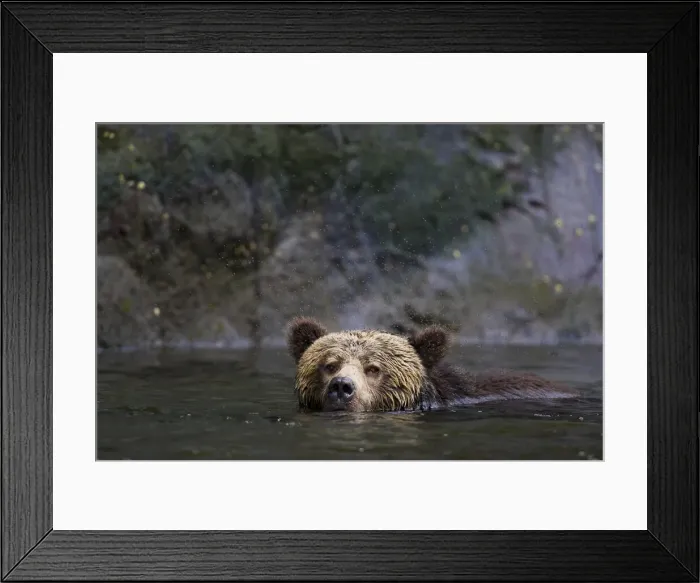 Framed Print : DDE-90028016 Framed Print : DDE-90028016