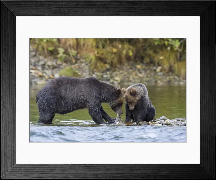 Framed Print : DDE-90028014 Framed Print : DDE-90028014