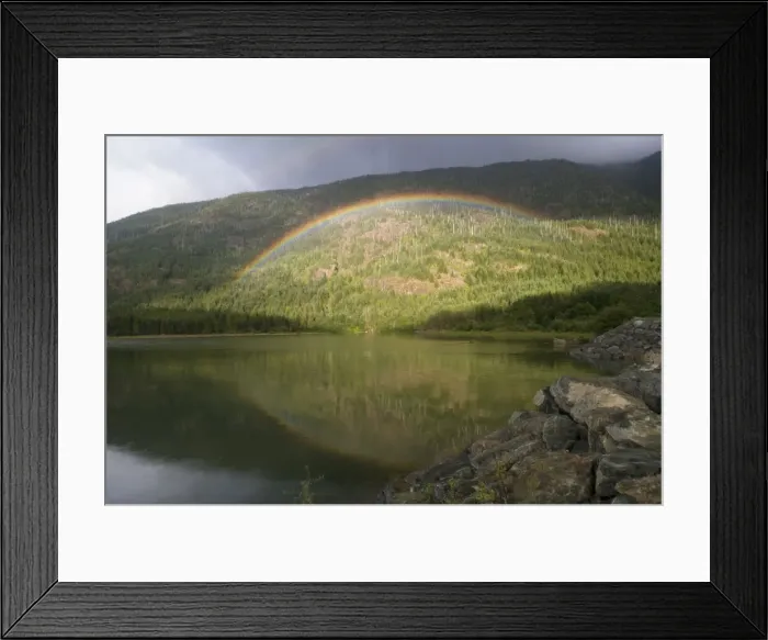 Framed Print : DDE-90028022