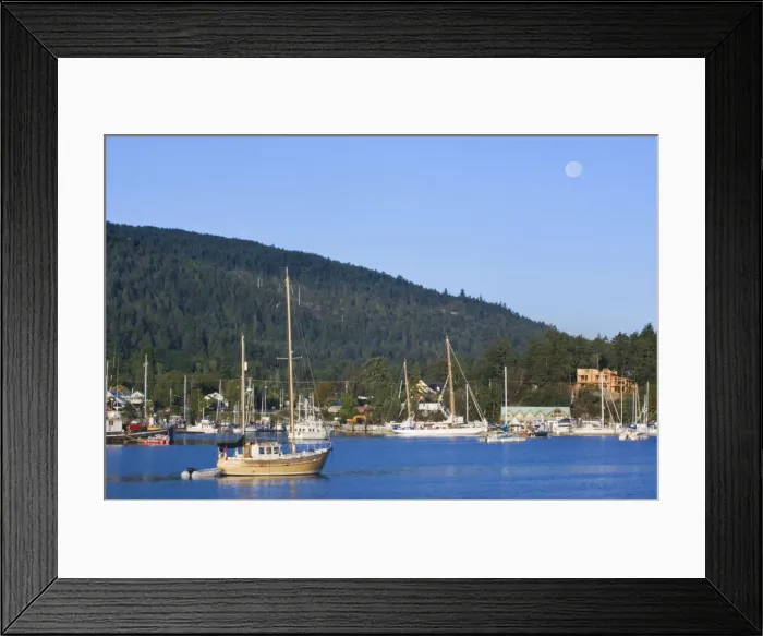 Framed Print : DDE-90028024