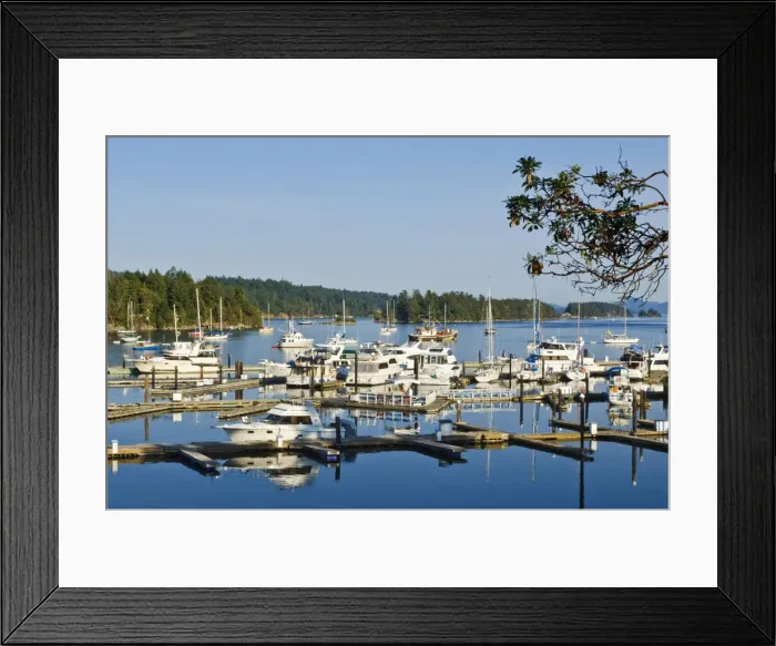 Framed Print : DDE-90028025