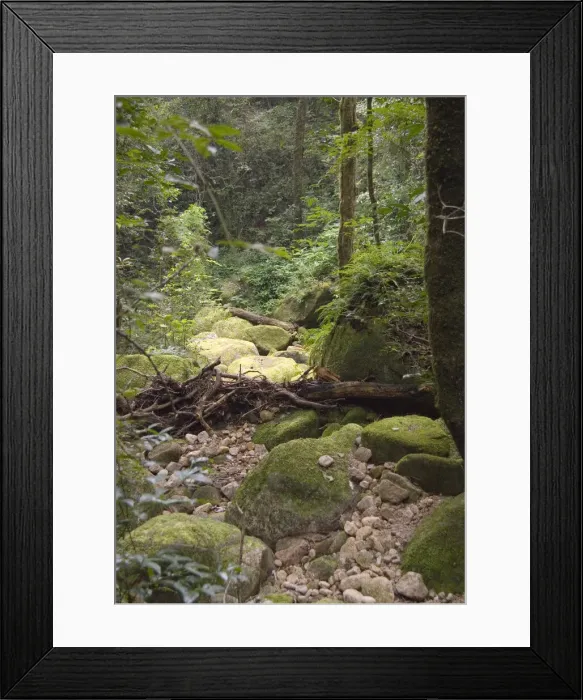 Framed Print : DDE-90028023 Framed Print : DDE-90028023