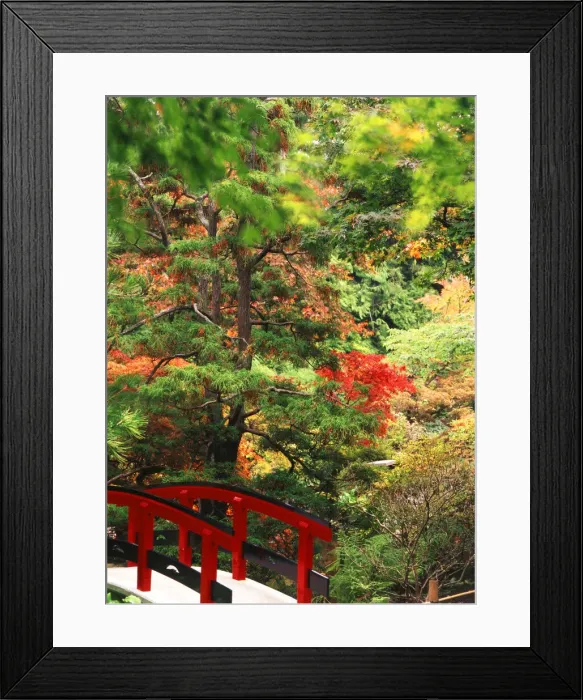 Framed Print : DDE-90028034 Framed Print : DDE-90028034