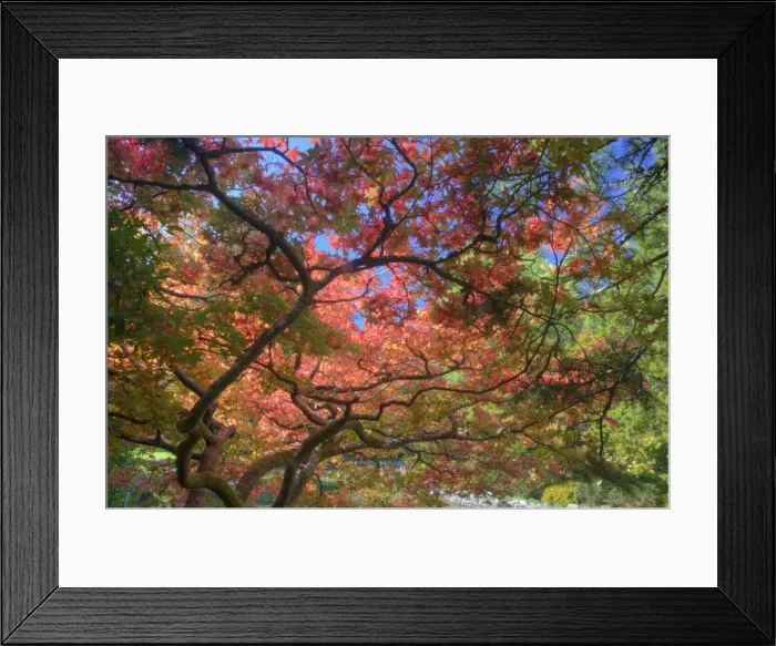 Framed Print : DDE-90028041 Framed Print : DDE-90028041