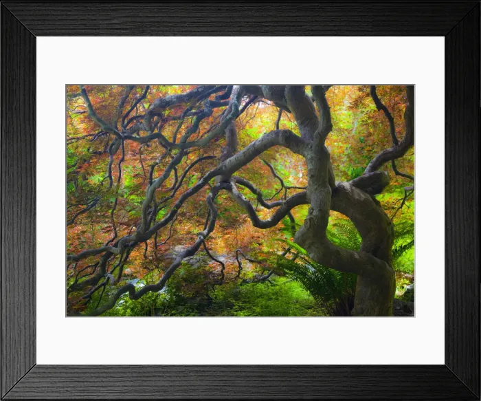 Framed Print : DDE-90028043