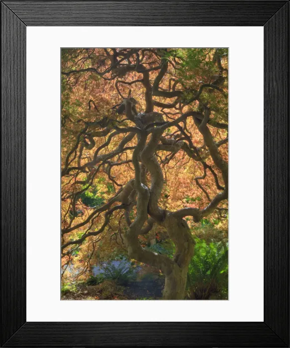 Framed Print : DDE-90028044 Framed Print : DDE-90028044