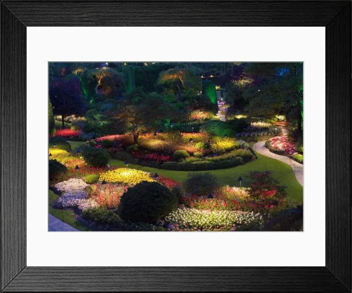 Framed Print : DDE-90028045 Framed Print : DDE-90028045
