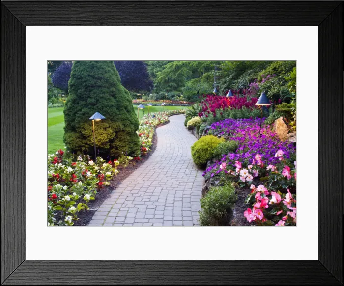 Framed Print : DDE-90028046 Framed Print : DDE-90028046