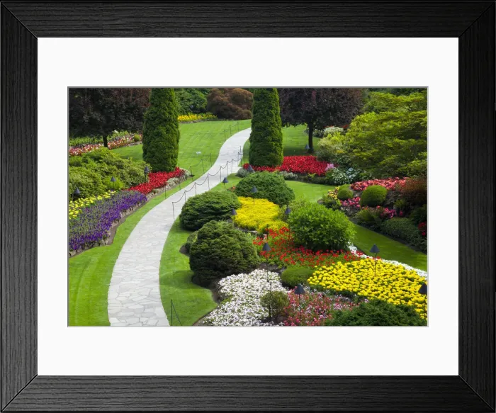 Framed Print : DDE-90028047 Framed Print : DDE-90028047