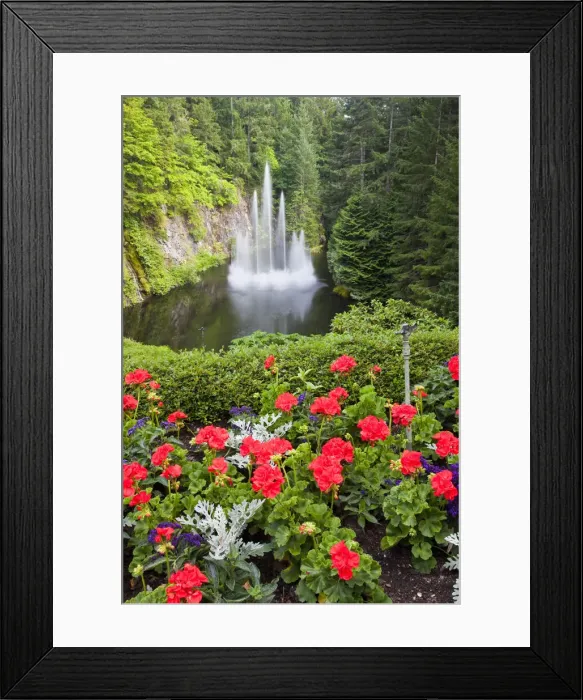 Framed Print : DDE-90028048 Framed Print : DDE-90028048