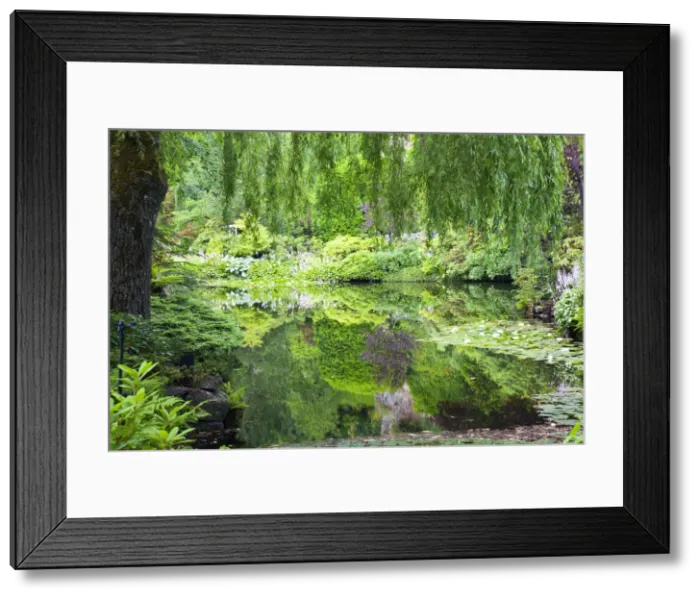Framed Print : DDE-90028049 Framed Print : DDE-90028049
