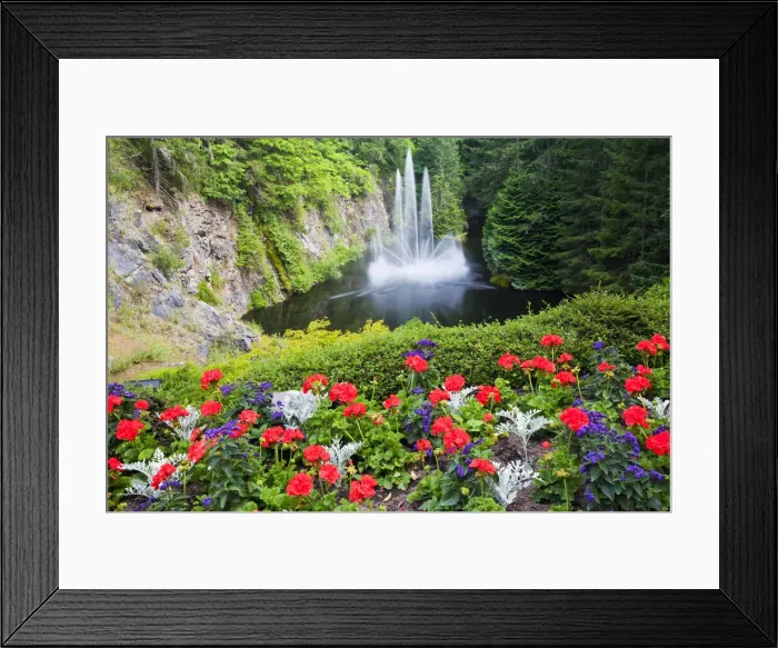 Framed Print : DDE-90028050 Framed Print : DDE-90028050