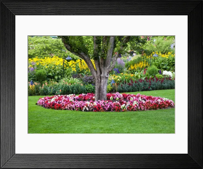 Framed Print : DDE-90028051 Framed Print : DDE-90028051