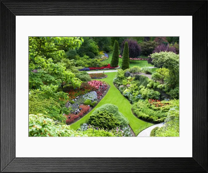 Framed Print : DDE-90028052 Framed Print : DDE-90028052