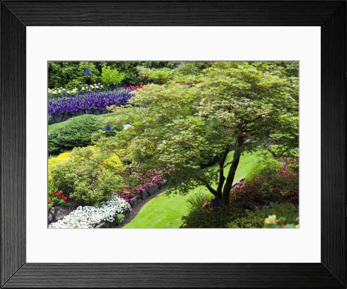 Framed Print : DDE-90028053 Framed Print : DDE-90028053