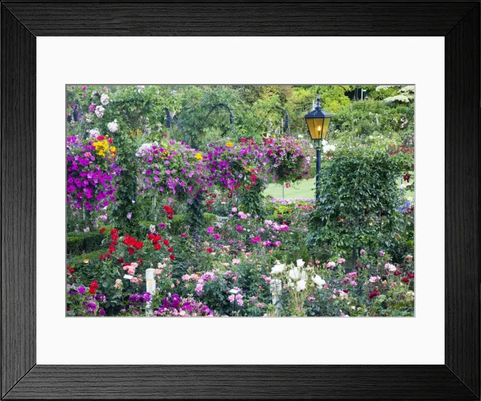 Framed Print : DDE-90028054