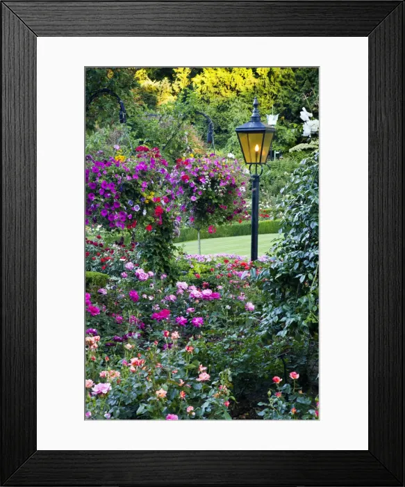 Framed Print : DDE-90028055 Framed Print : DDE-90028055