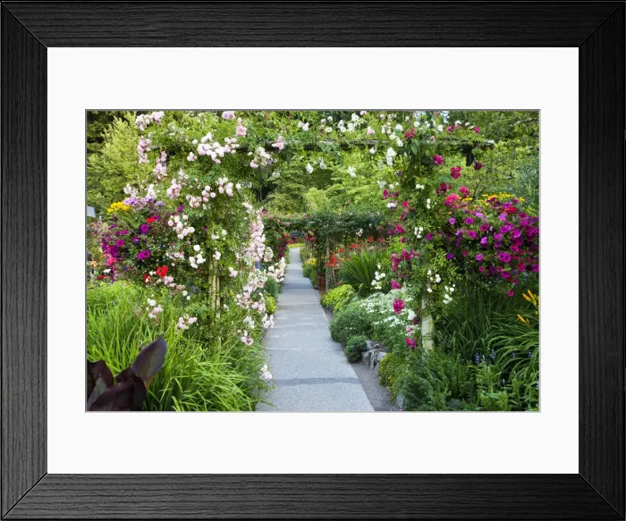 Framed Print : DDE-90028056 Framed Print : DDE-90028056