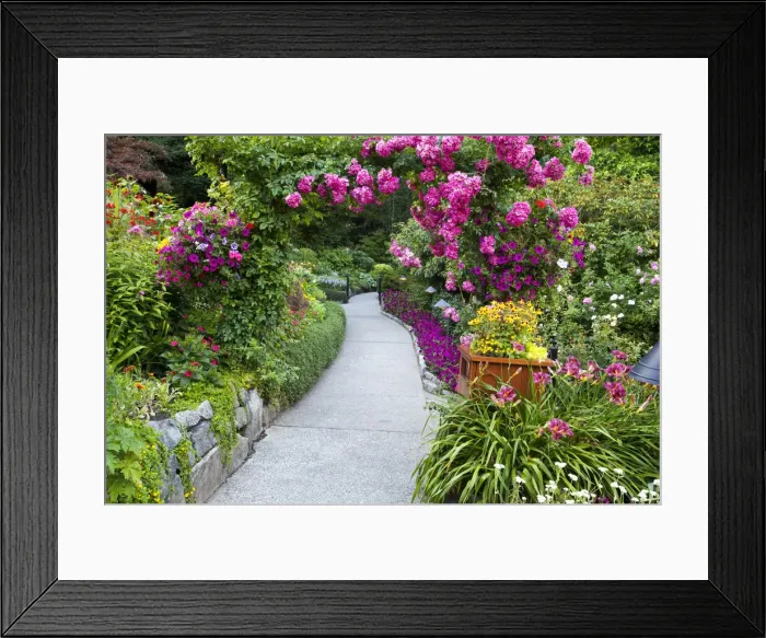 Framed Print : DDE-90028057 Framed Print : DDE-90028057